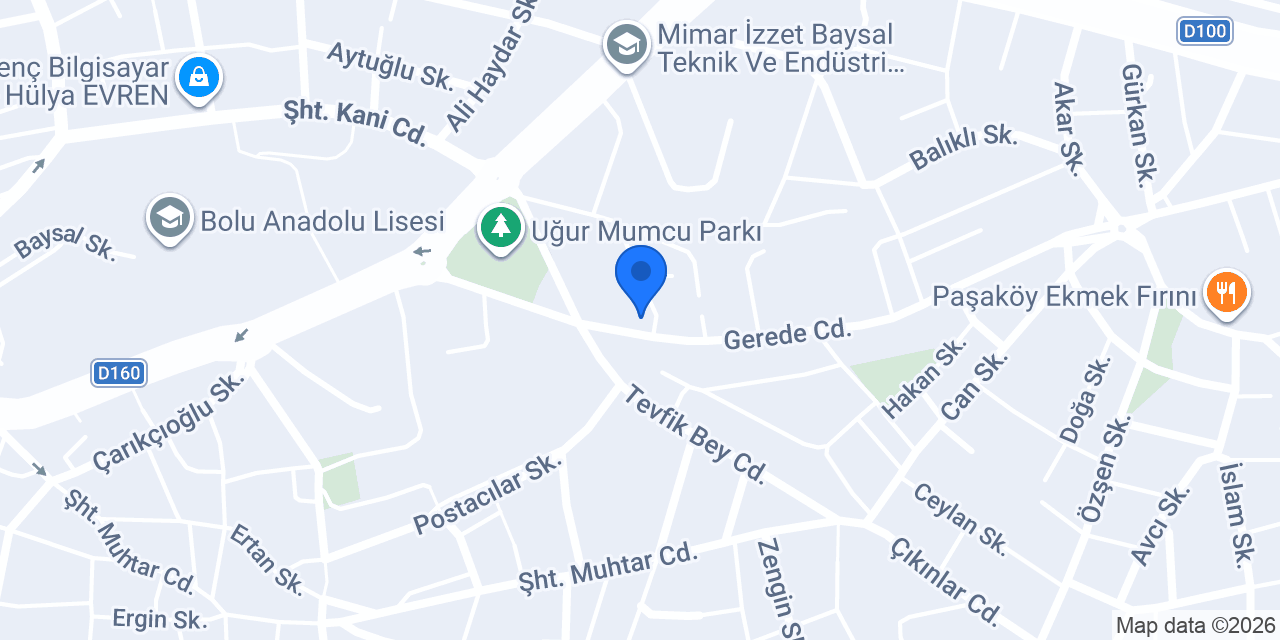 Lider Gıda Sanayi A.Ş. konumu