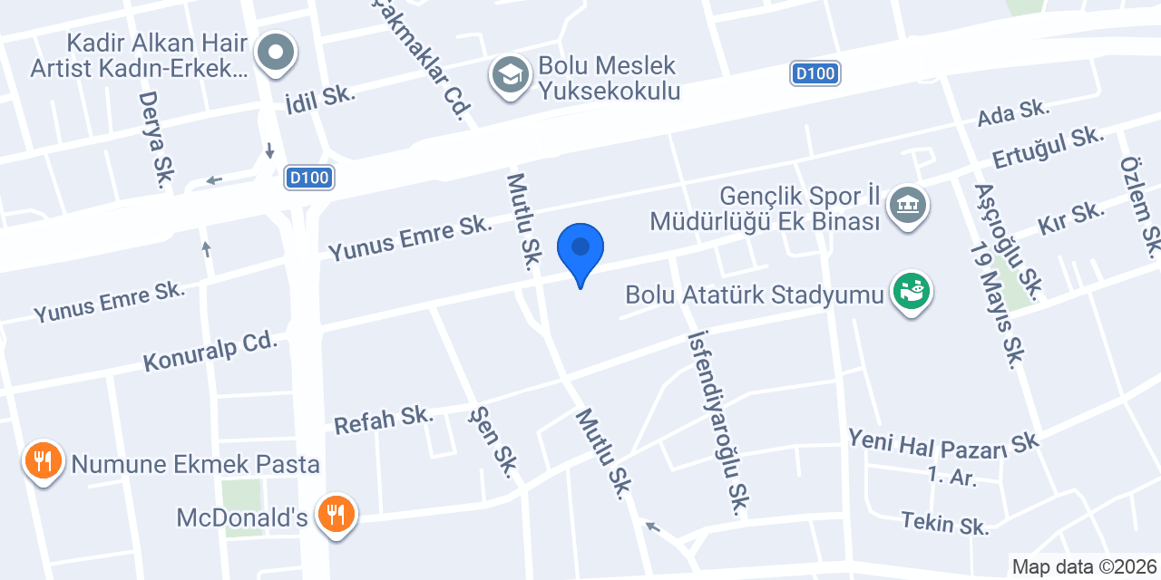 BAY AUTO SERVİS konumu