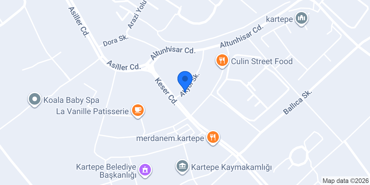 Pasaport Pizza Kartepe konumu