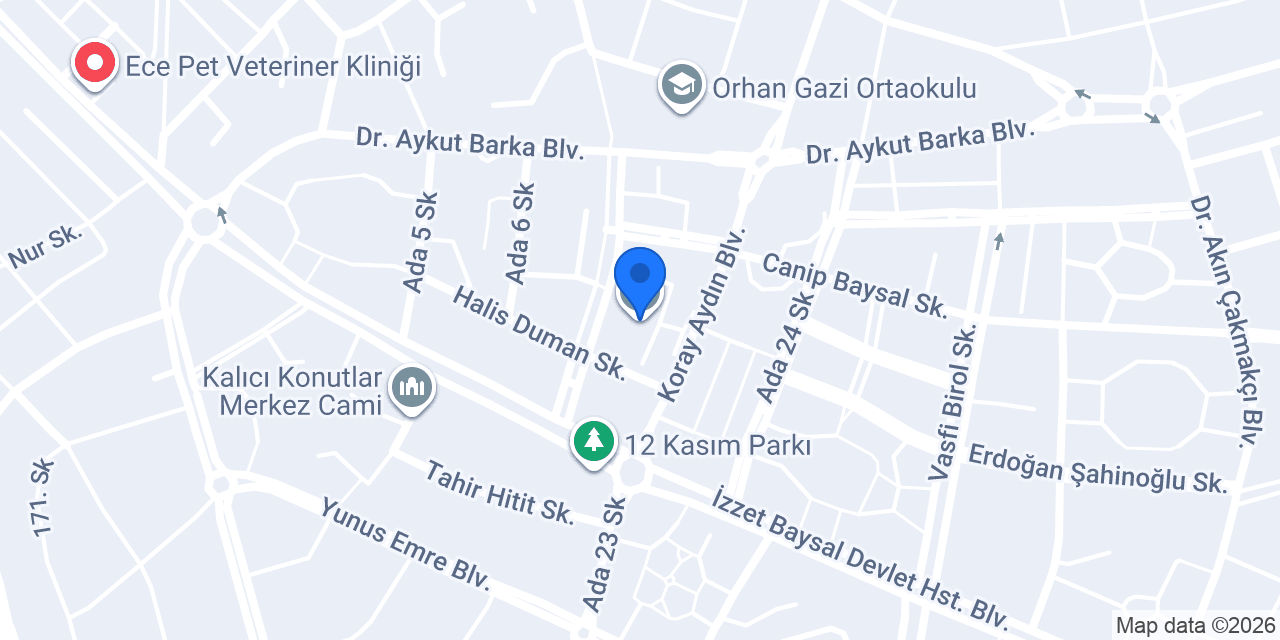 Mustafa Çizmecioğlu Anadolu Lisesi konumu