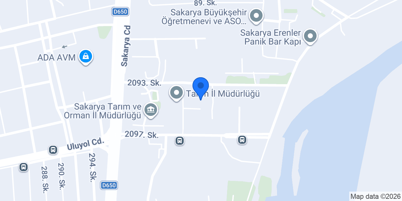 Halit Evin Kız Anadolu İmam Hatip Lisesi konumu