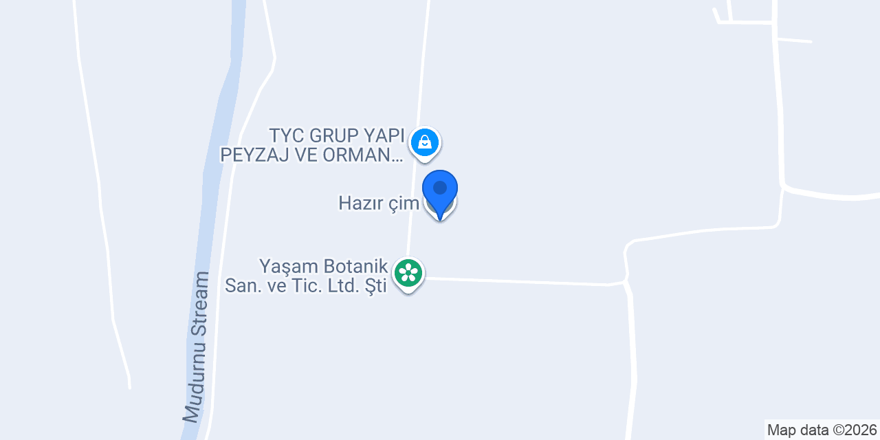 Hazır çim konumu
