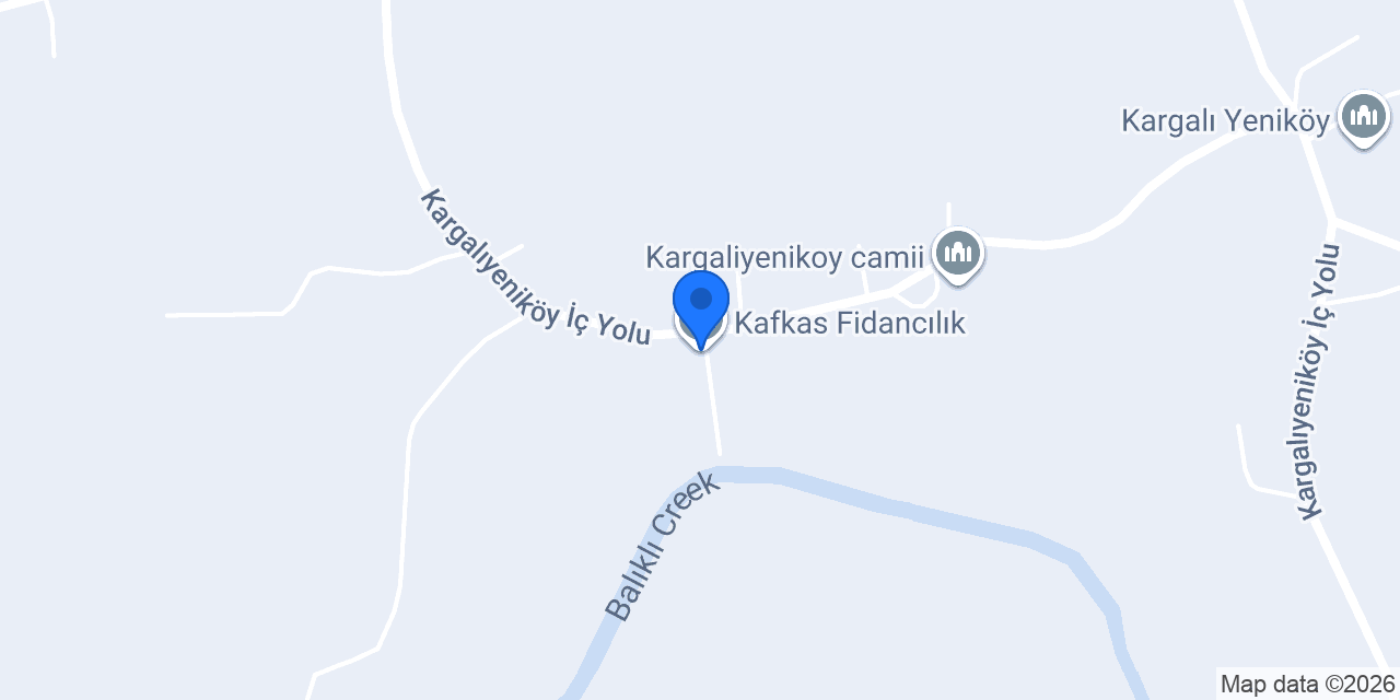 Kafkas Fidancılık konumu