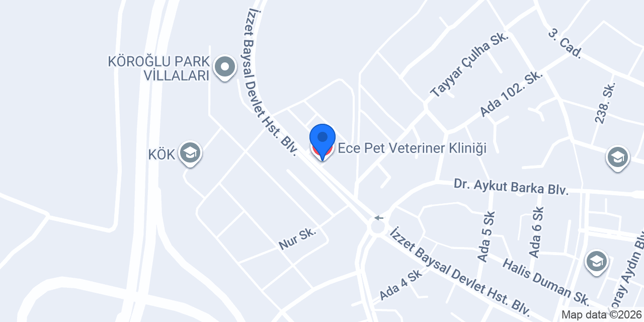 Ece Pet Veteriner Kliniği konumu
