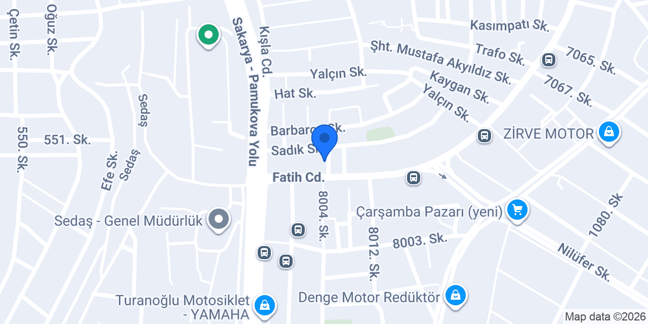 Sakarya Tek Halı Yıkama konumu