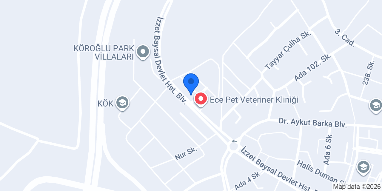 BEK BOLU ŞUBE konumu