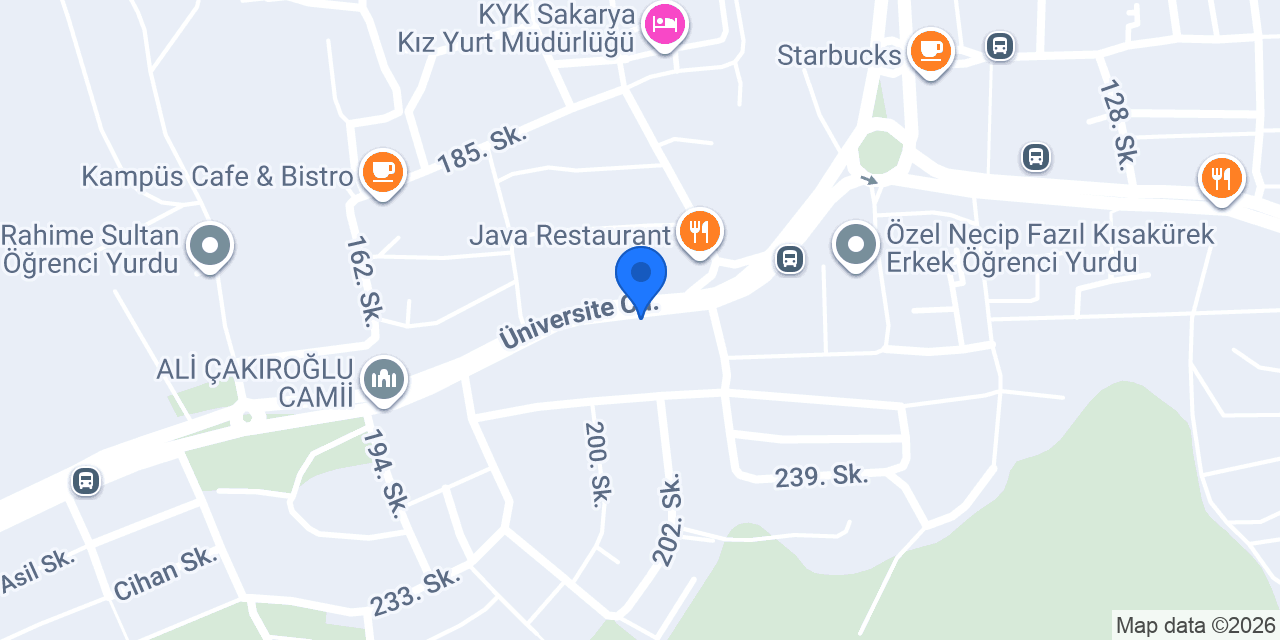 Muammer usta pide pizza konumu