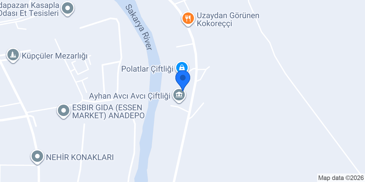 Bertan Besicilik konumu