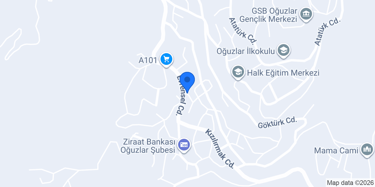 ŞAHİN CEVİZCİLİK konumu