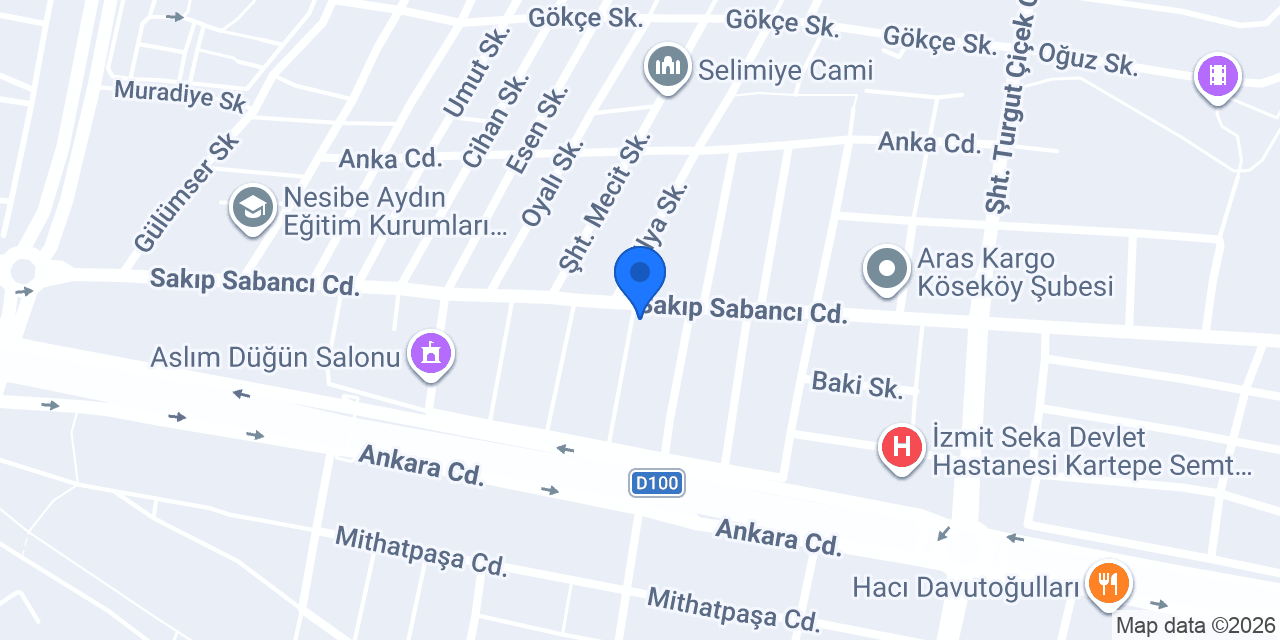 Kocaeli Basım San. ve Tic. A.Ş. konumu