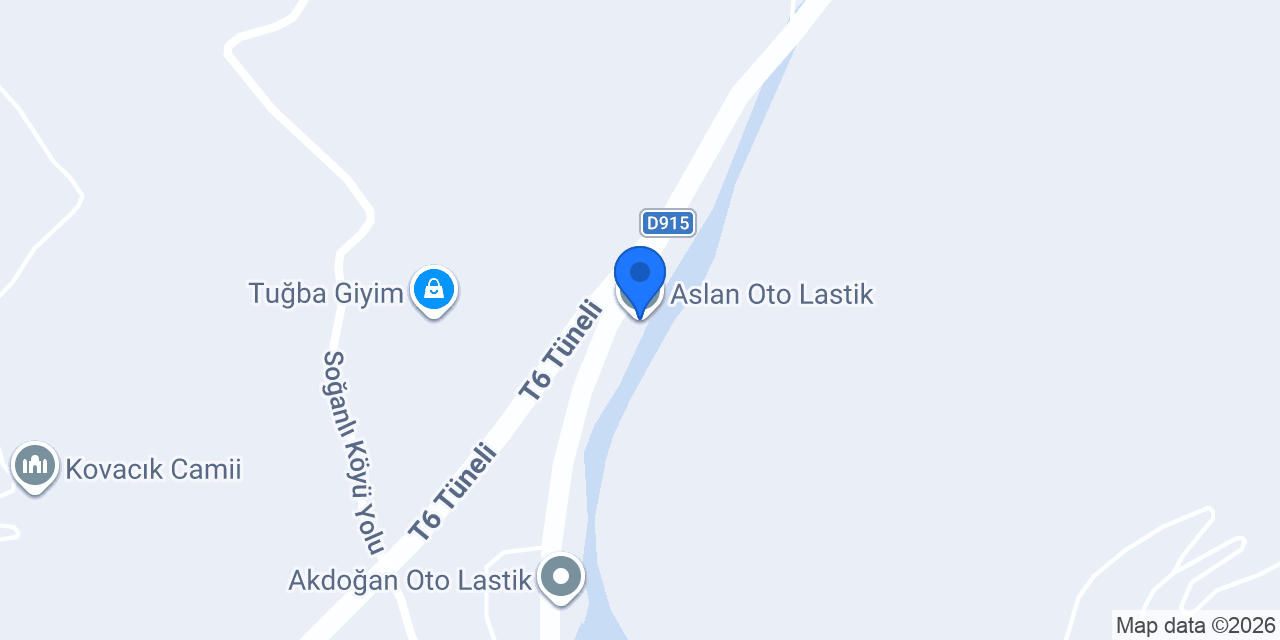 Aslan Oto Lastik konumu
