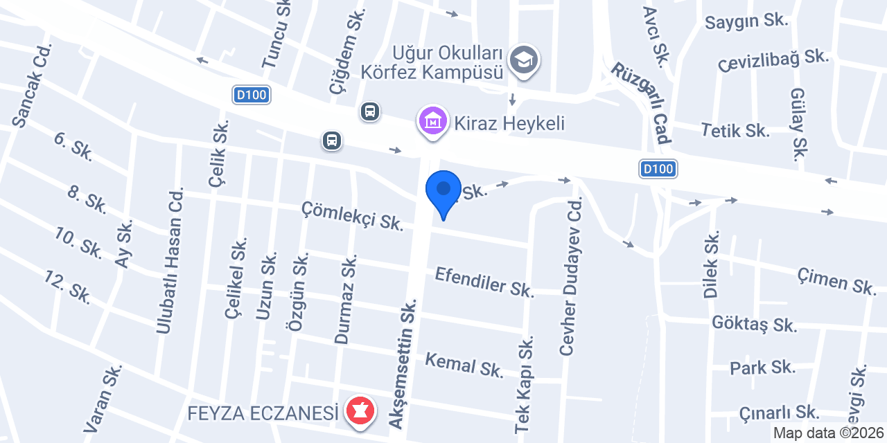 Danyıldız Halı Yıkama konumu