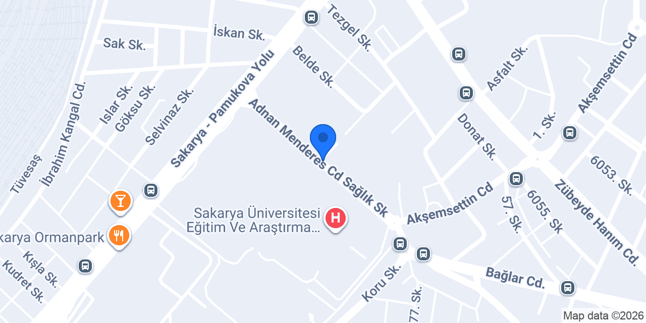 Eczane Sakarya konumu