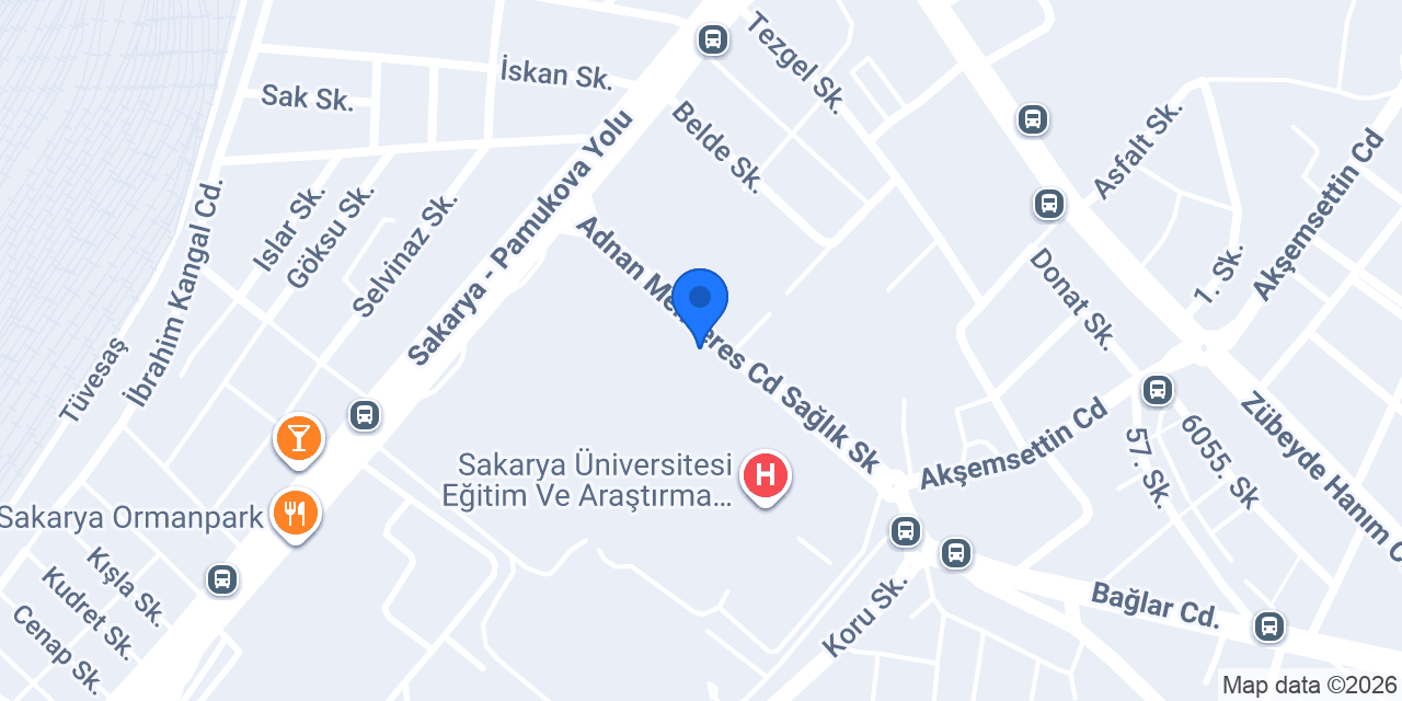 Seah Taksi sakarya konumu