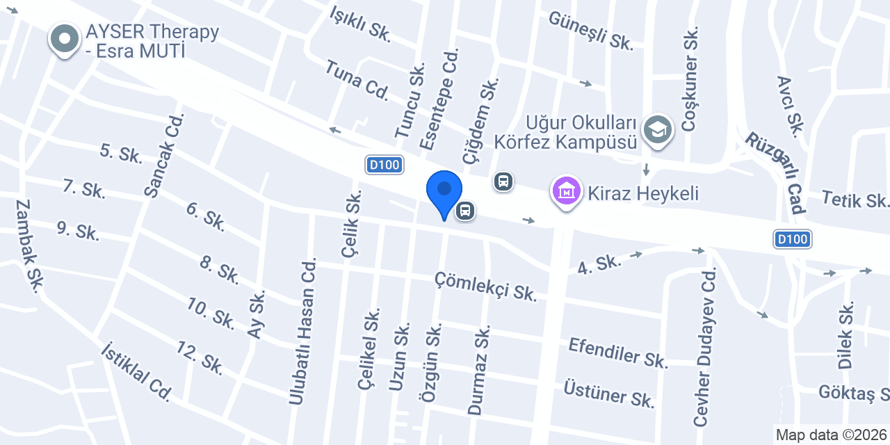 ÇELİMLİ OTOMOTİV konumu