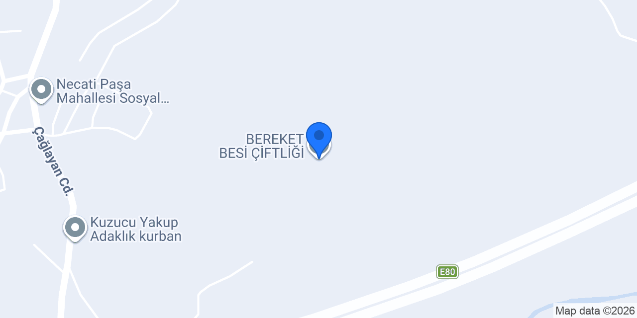 BEREKET BESİ ÇİFTLİĞİ konumu