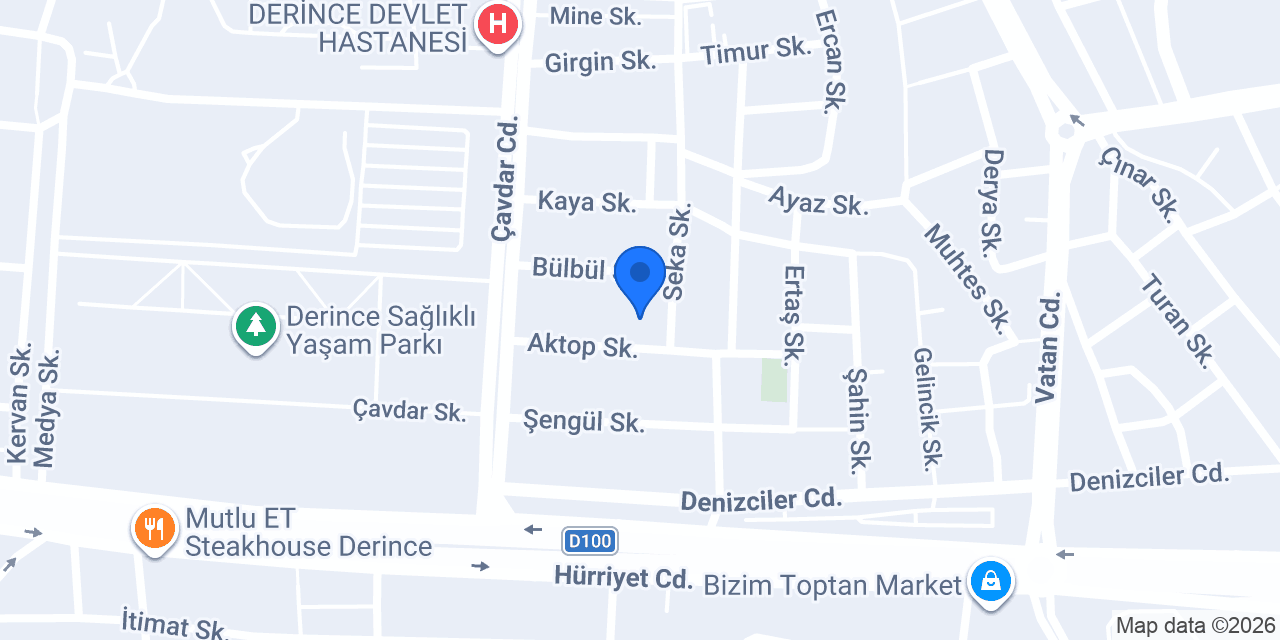 DERİNCE ELEKTRİK LİON TECHNICAL konumu