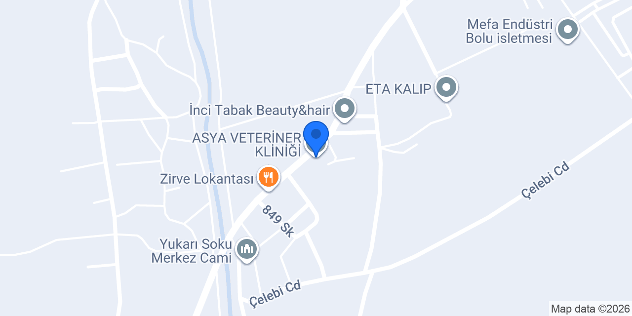 ASYA VETERİNER KLİNİĞİ konumu