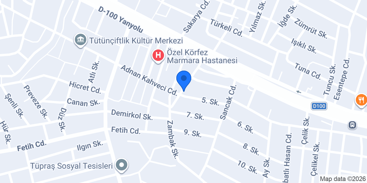 Özser Group Sigorta konumu