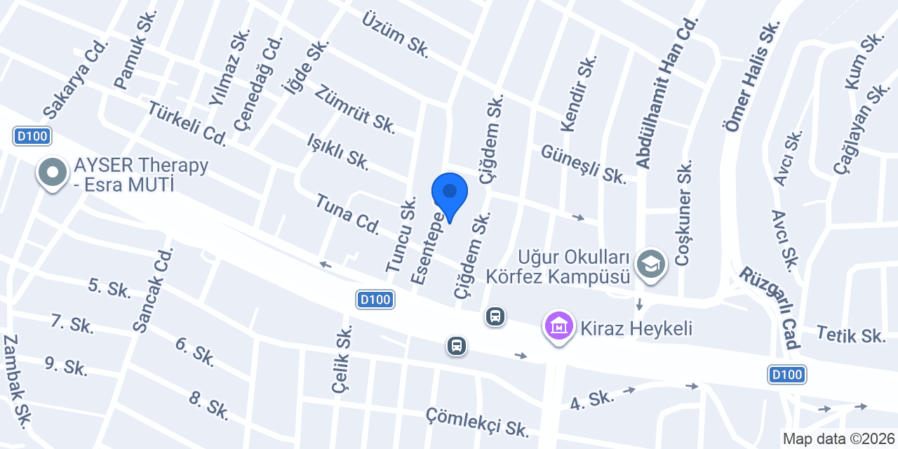 Yaylalı Mobilya ve Dekorasyon konumu