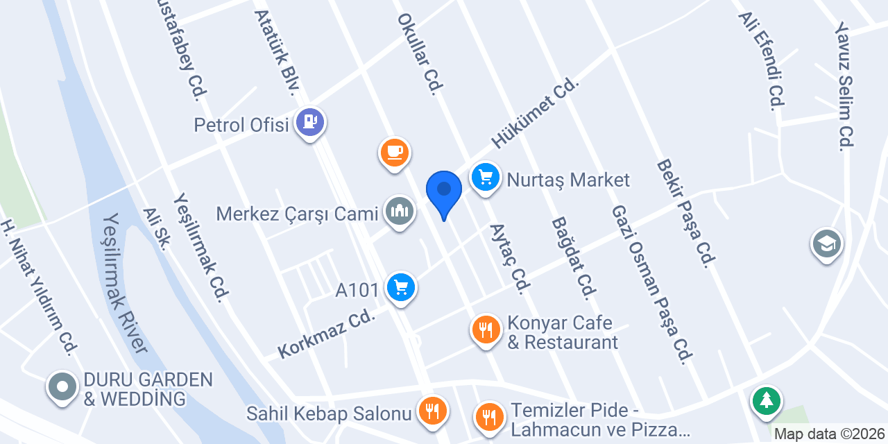 TESLA ELEKTRİK konumu