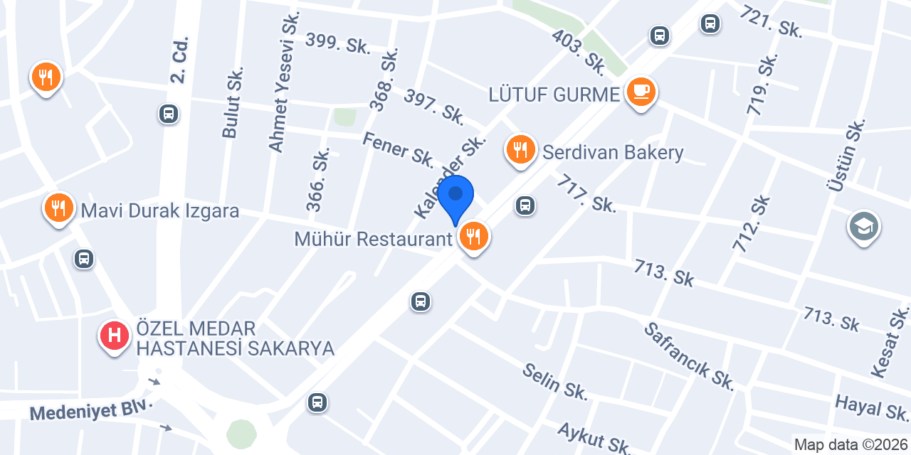 Jineste Sakarya konumu