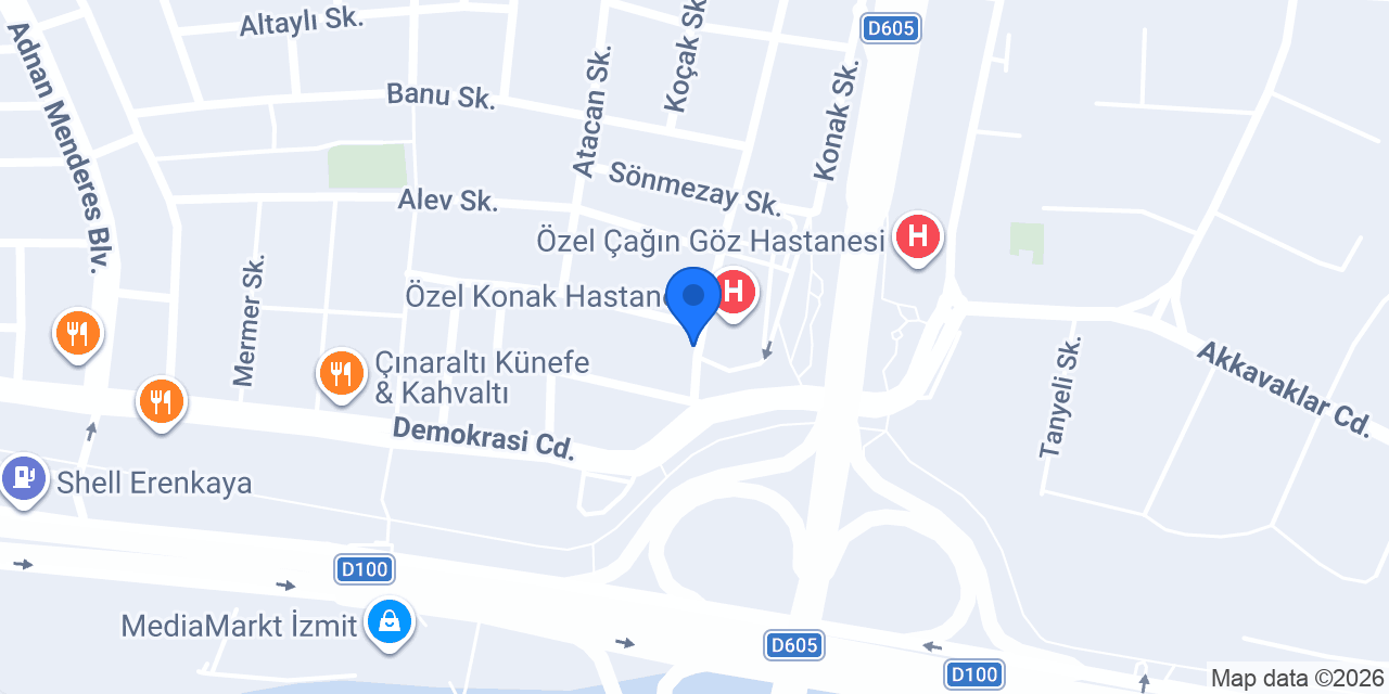 Palmiye Çiçekçilik konumu