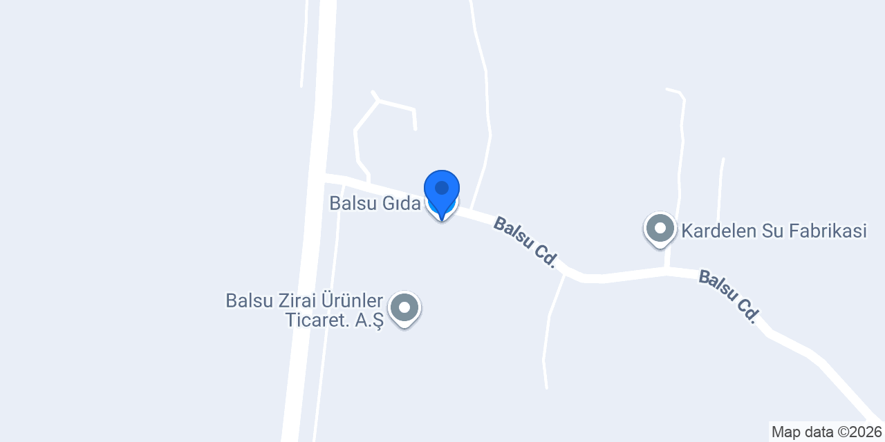 Balsu Gıda konumu