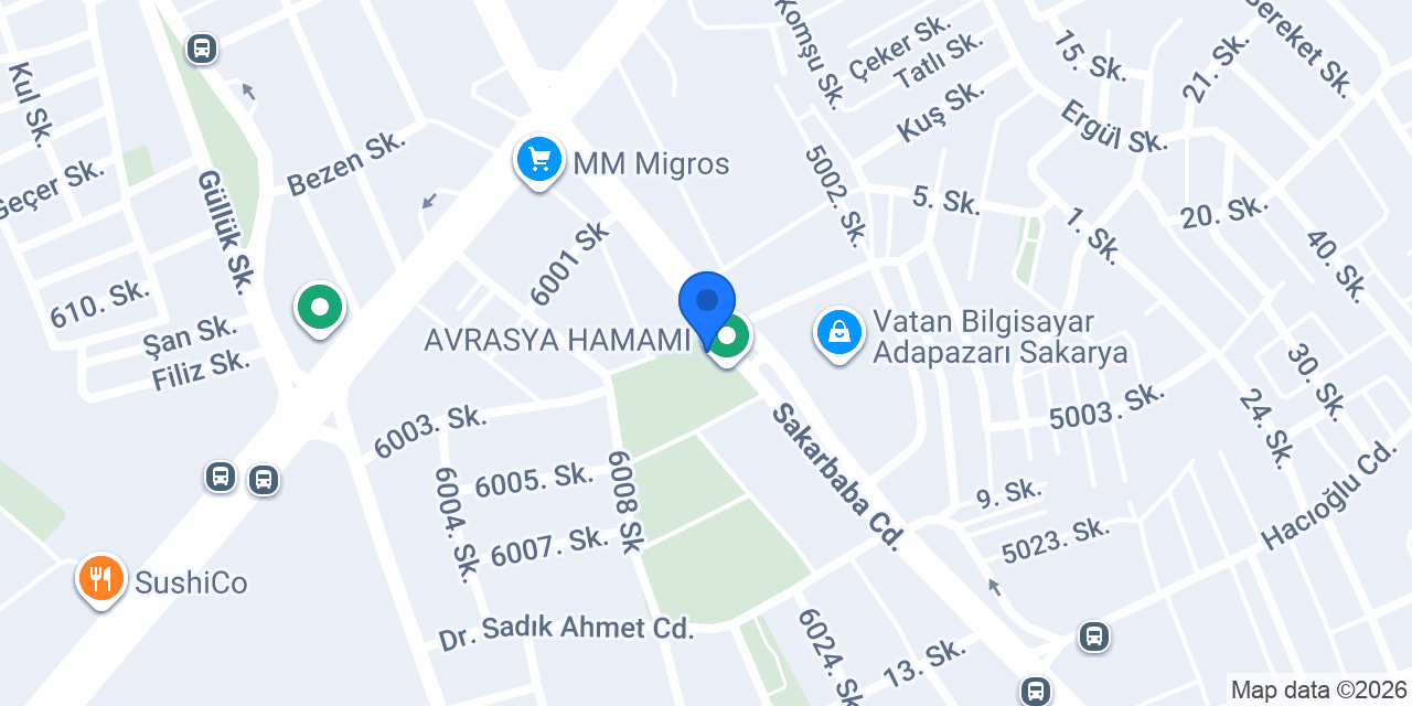 Doğa Petshop Erenler konumu