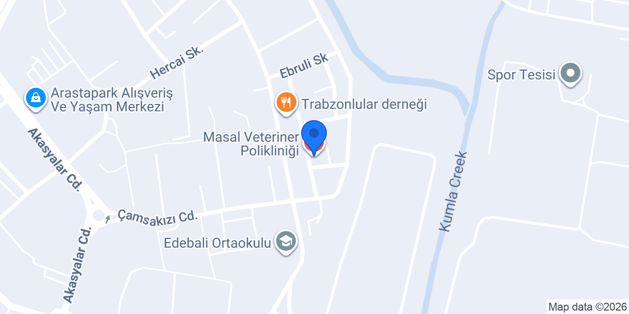 Masal Veteriner Polikliniği konumu