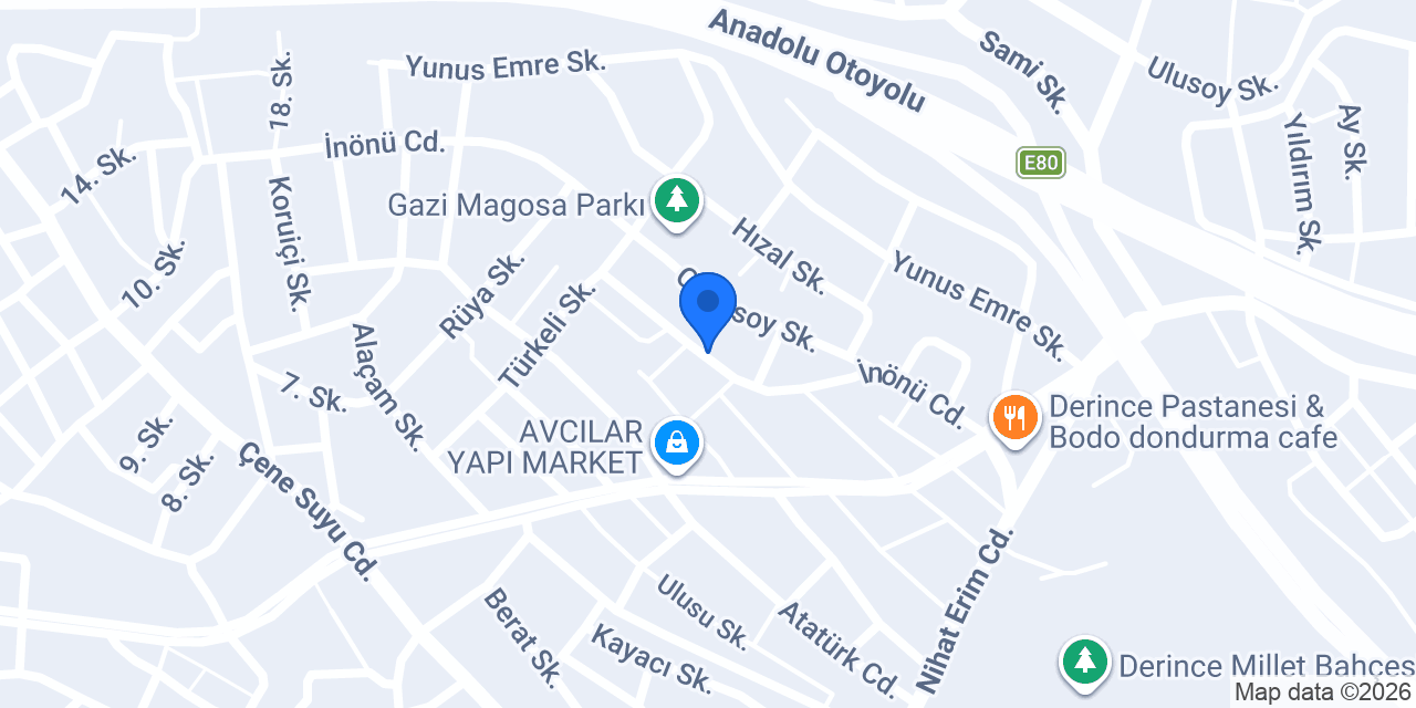 vizyon teknik konumu