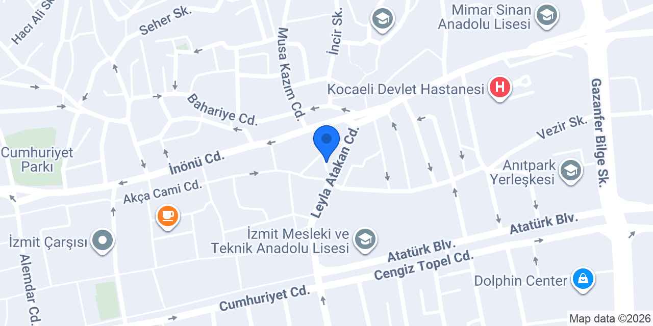 Entegre Elektronik konumu