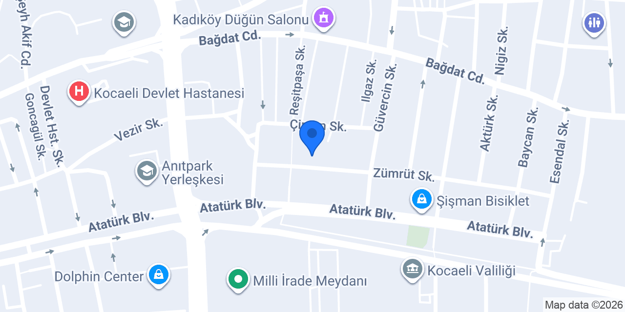41 Aras nakliyat konumu