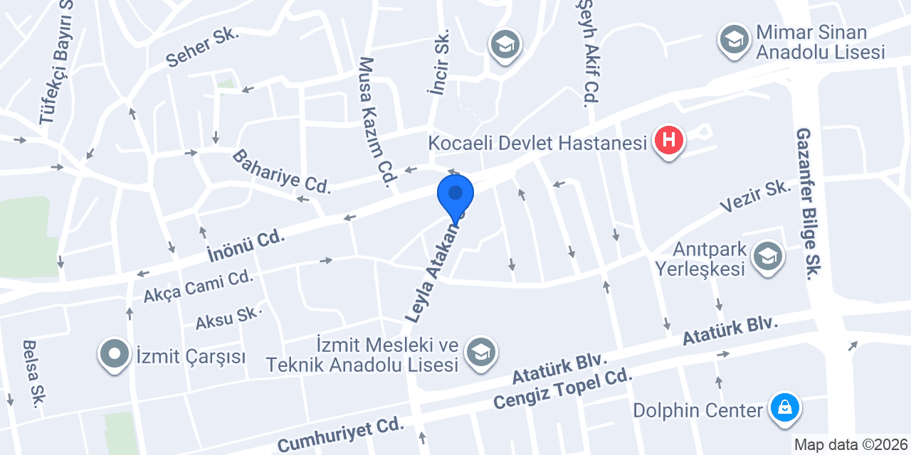 Lion Çiçekçilik konumu