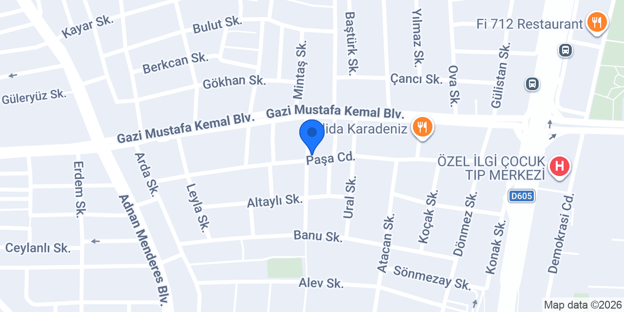 İzmit Dedektör konumu
