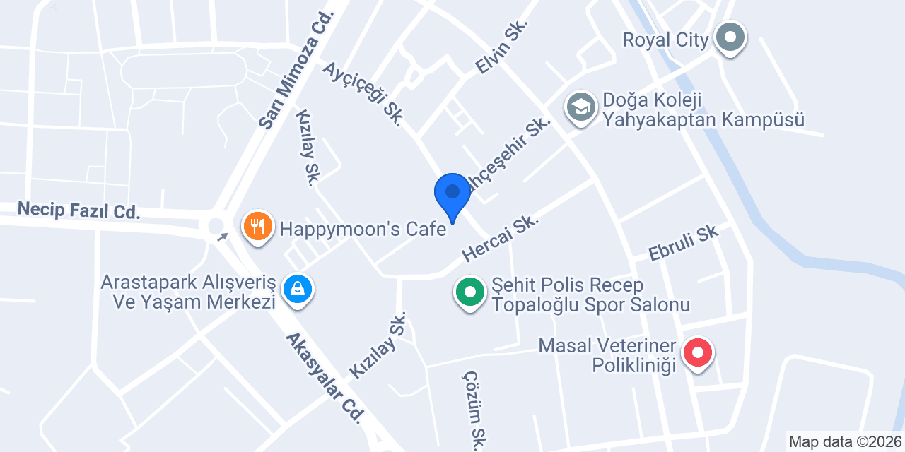 Psikolog Büşra Erdoğan konumu