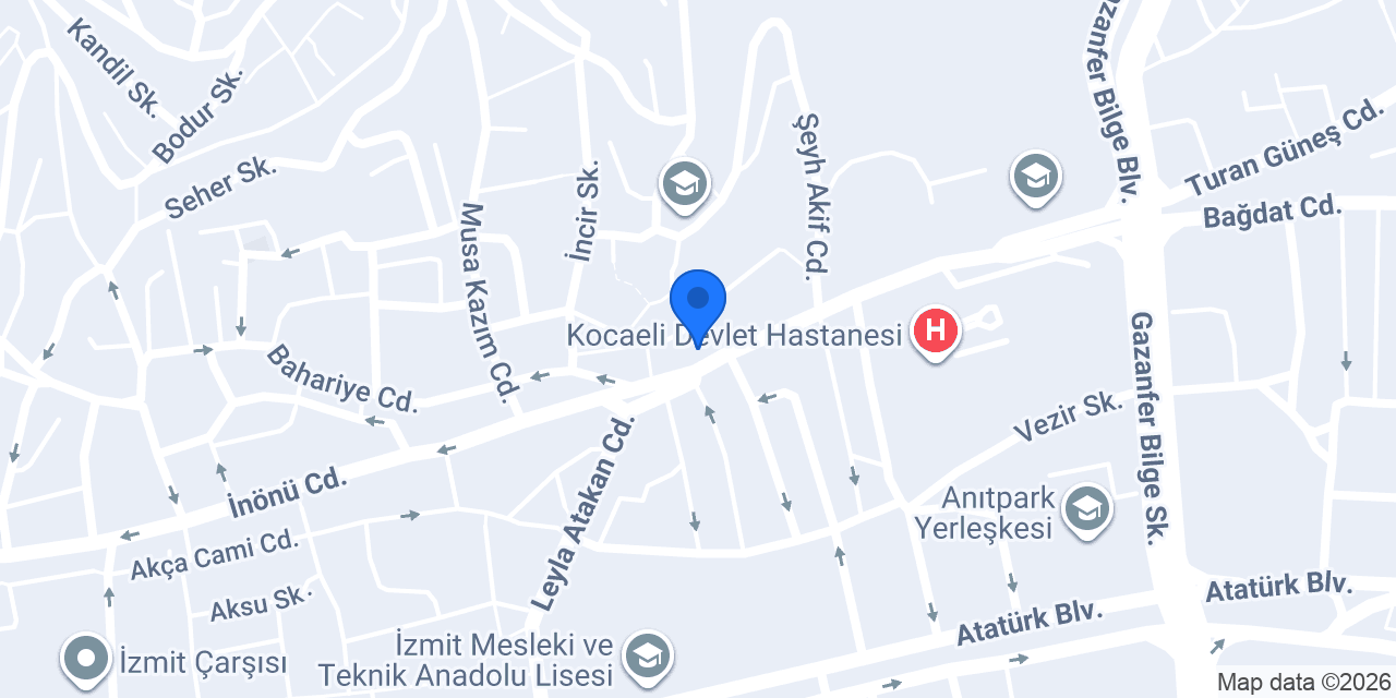 Pizzabulls İzmit Merkez konumu