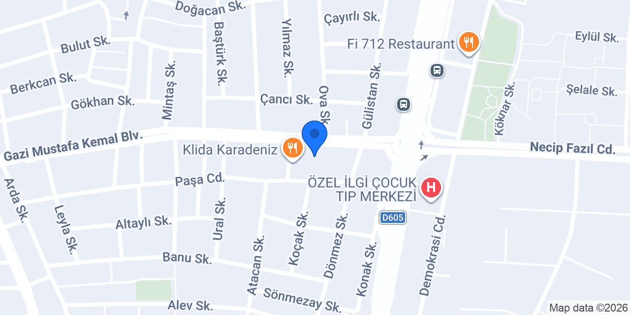 Vergi Denetim Kurulu Başkanlığı konumu