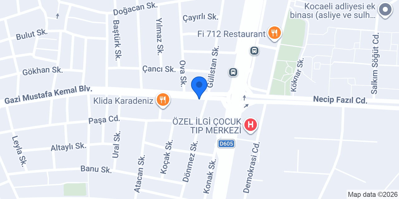 Çilek Vize Kocaeli konumu