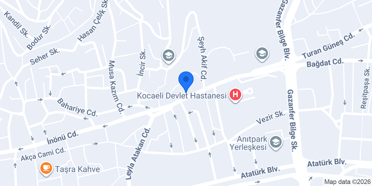 Ege Eczanesi KOCAELİ konumu