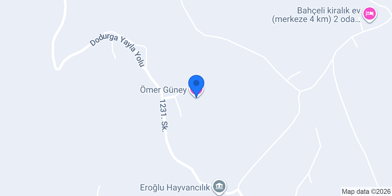 Ömer Güney konumu