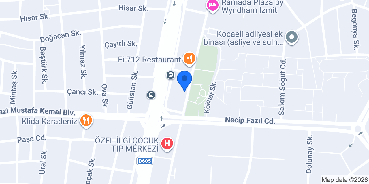 Uzm. Dr. Lale Kavan Ateş, Dermatoloji konumu