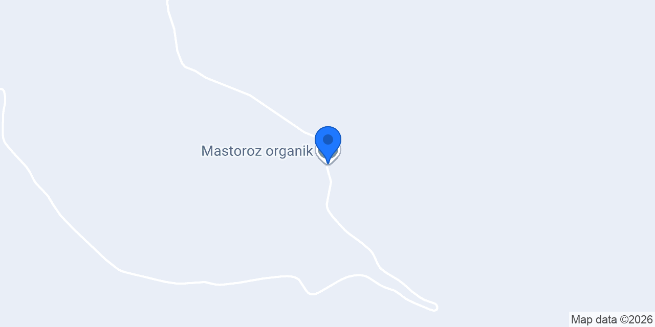 Mastoroz organik konumu