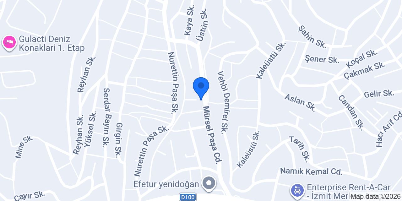 Salon yenidogan konumu