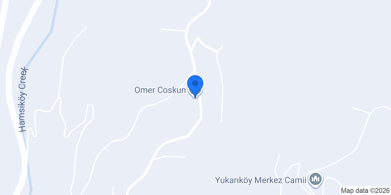 Omer Coskun konumu
