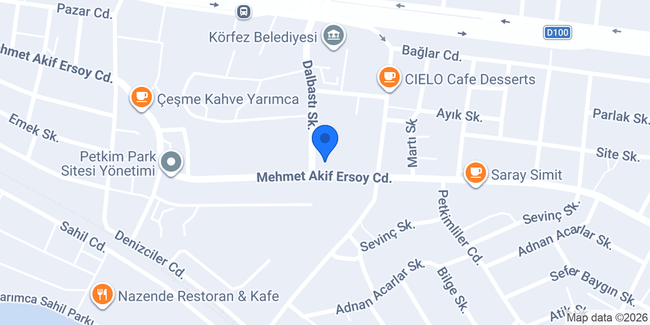 Petkim Ortaokulu konumu