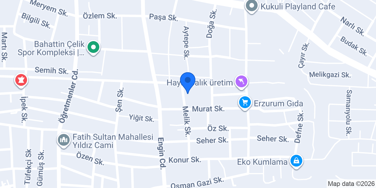 ACAR HALI YIKAMA FABRIKASI konumu