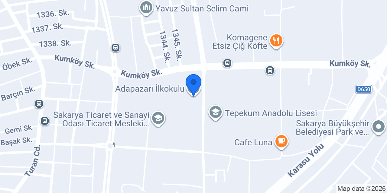 Adapazarı İlkokulu konumu