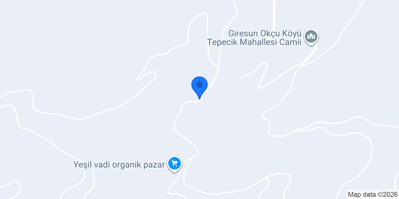Okçu İlköğretim Okulu konumu
