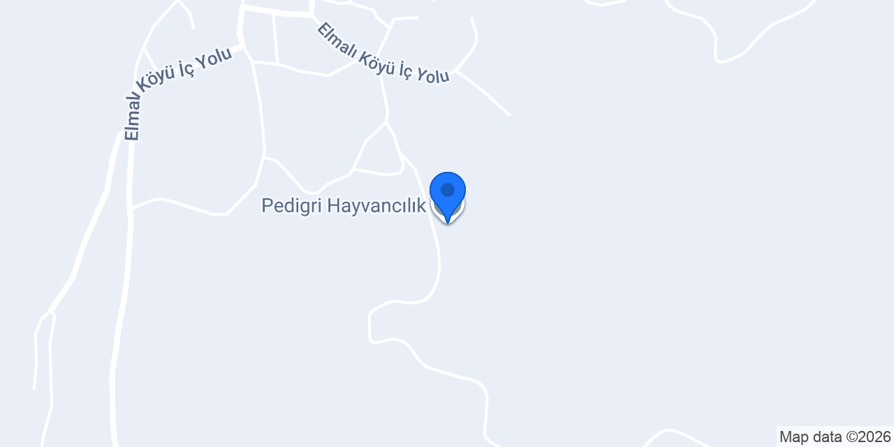Pedigri Hayvancılık konumu